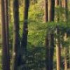 footer cta 300x90.jpg